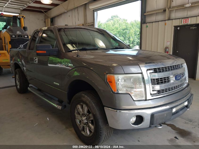 2013 FORD F-150 XLT