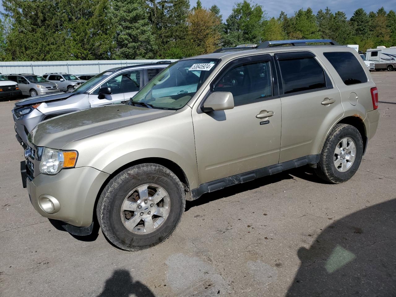 2011 FORD ESCAPE LIMITED