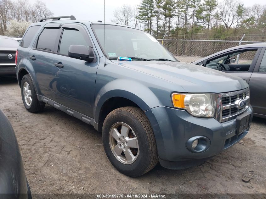 2011 FORD ESCAPE XLT