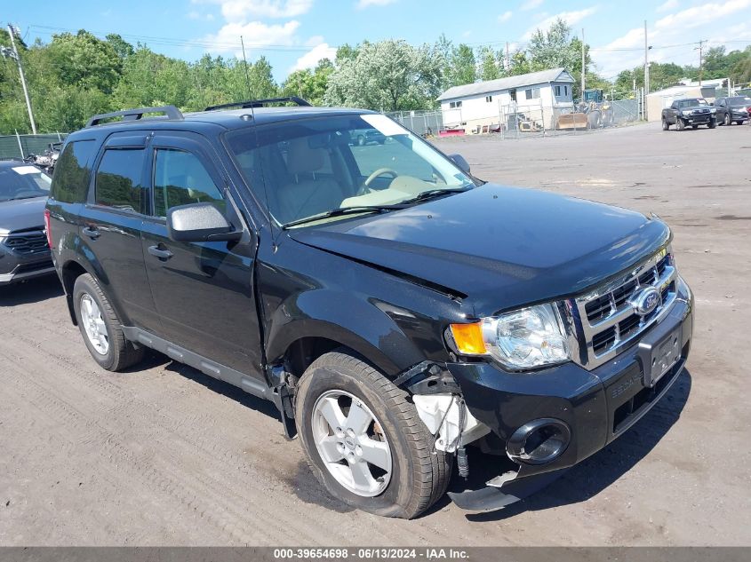 2011 FORD ESCAPE XLT