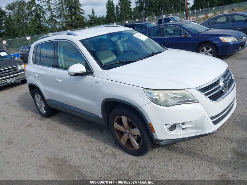 2010 VOLKSWAGEN TIGUAN WOLFSBURG EDITION