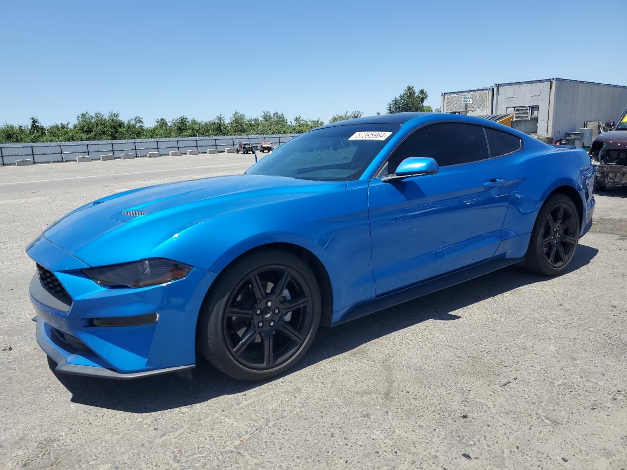 2019 FORD MUSTANG