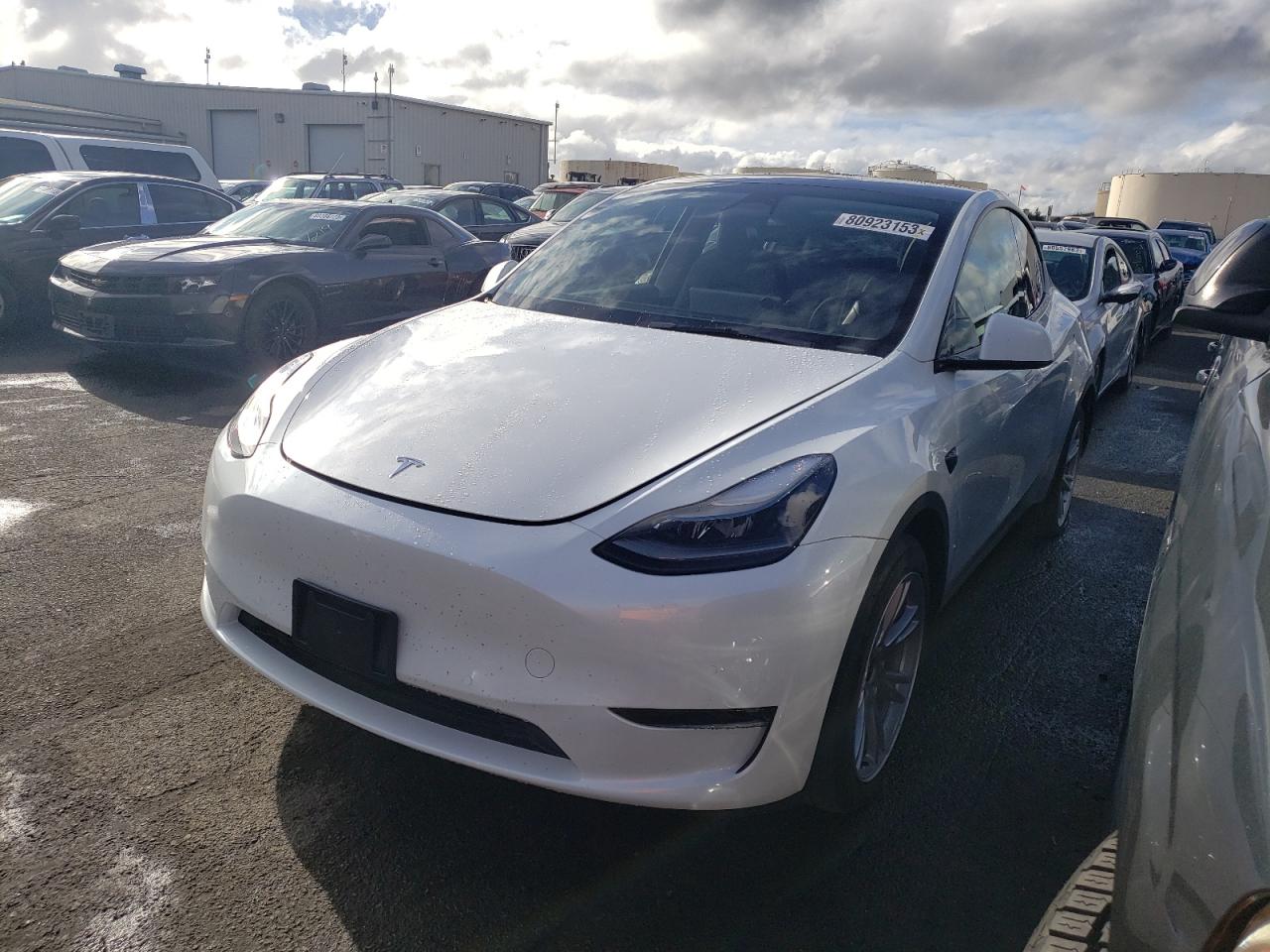 2022 TESLA MODEL Y