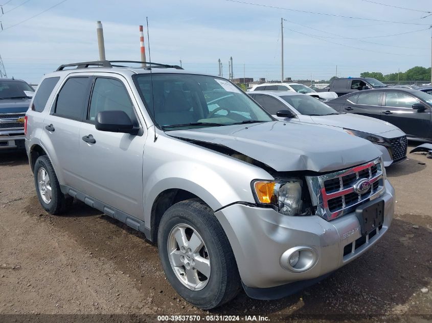 2011 FORD ESCAPE XLT