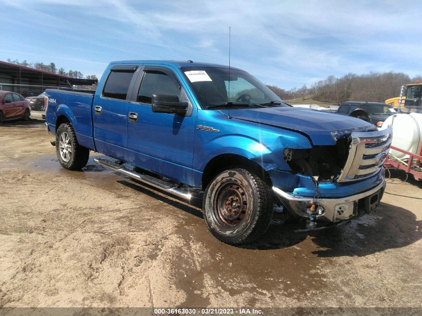 2011 FORD F-150 XLT