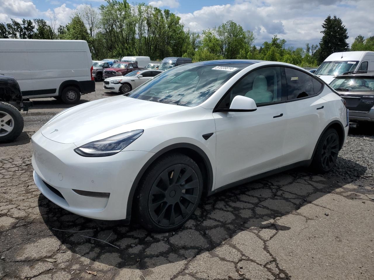 2021 TESLA MODEL Y