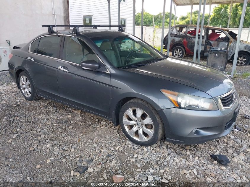 2010 HONDA ACCORD EXL