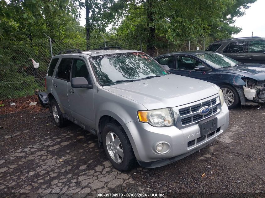 2011 FORD ESCAPE XLT