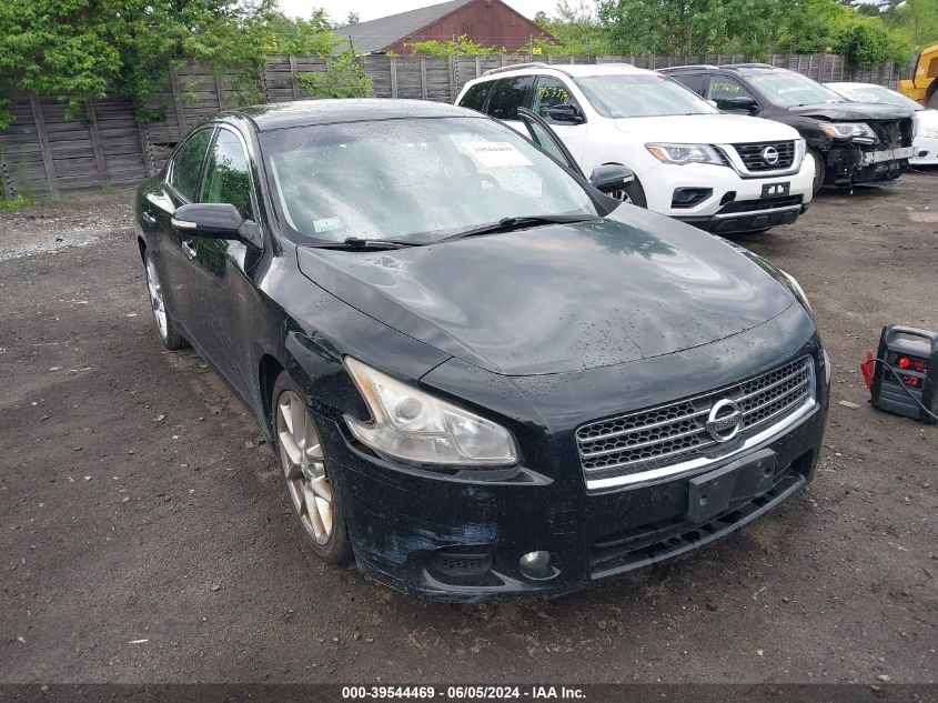 2010 NISSAN MAXIMA 3.5 SV