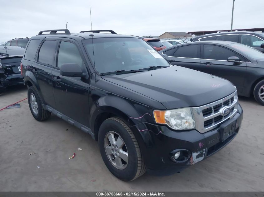 2010 FORD ESCAPE XLT