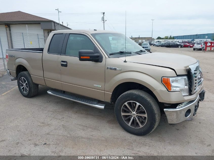 2012 FORD F-150 XLT