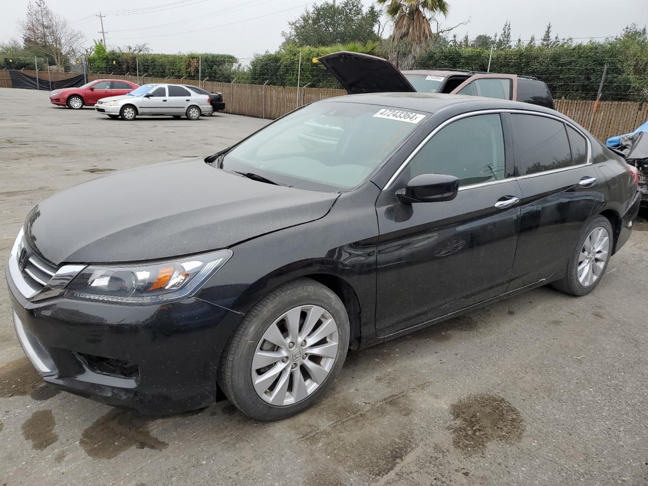 2013 HONDA ACCORD EXL