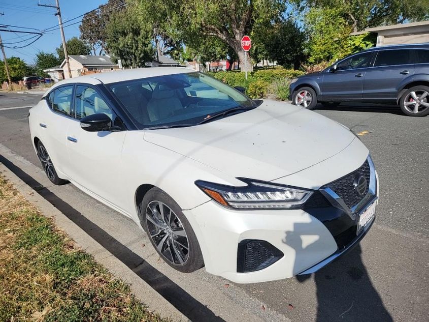 2022 NISSAN MAXIMA SV