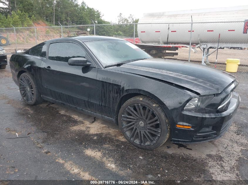 2014 FORD MUSTANG V6