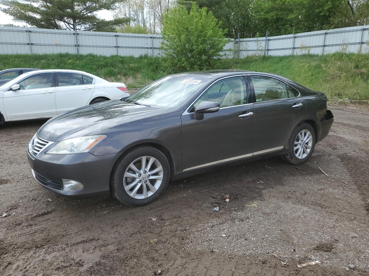 2010 LEXUS ES 350