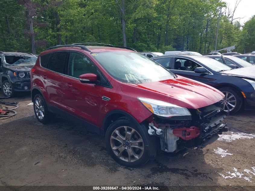 2013 FORD ESCAPE SEL