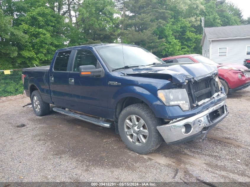 2013 FORD F-150 XLT