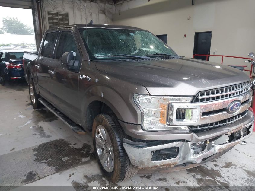 2019 FORD F-150 XLT