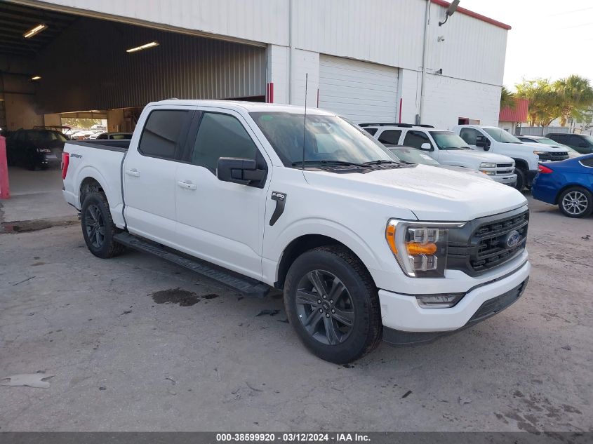 2023 FORD F-150 XLT