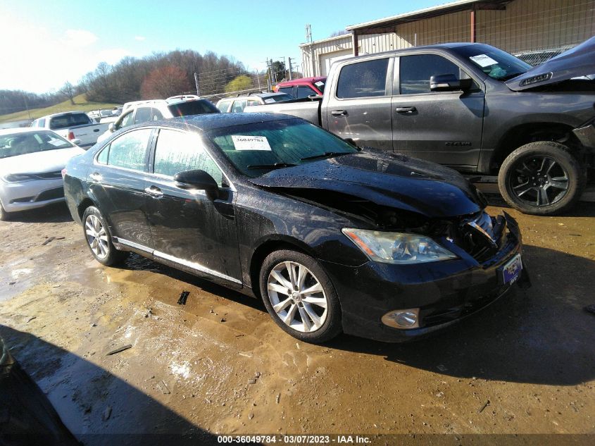 2011 LEXUS ES 350