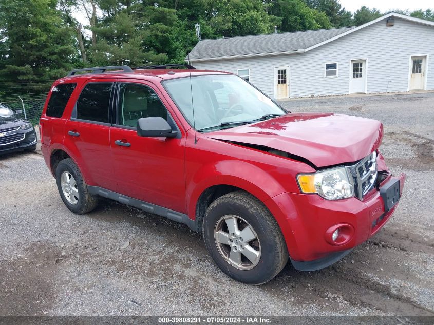 2011 FORD ESCAPE XLT