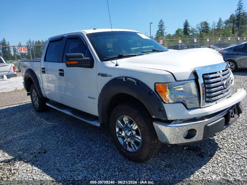 2012 FORD F-150 XLT