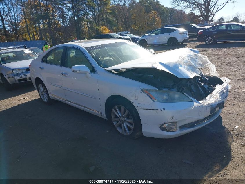 2010 LEXUS ES 350