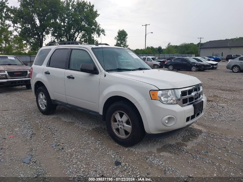 2012 FORD ESCAPE XLT