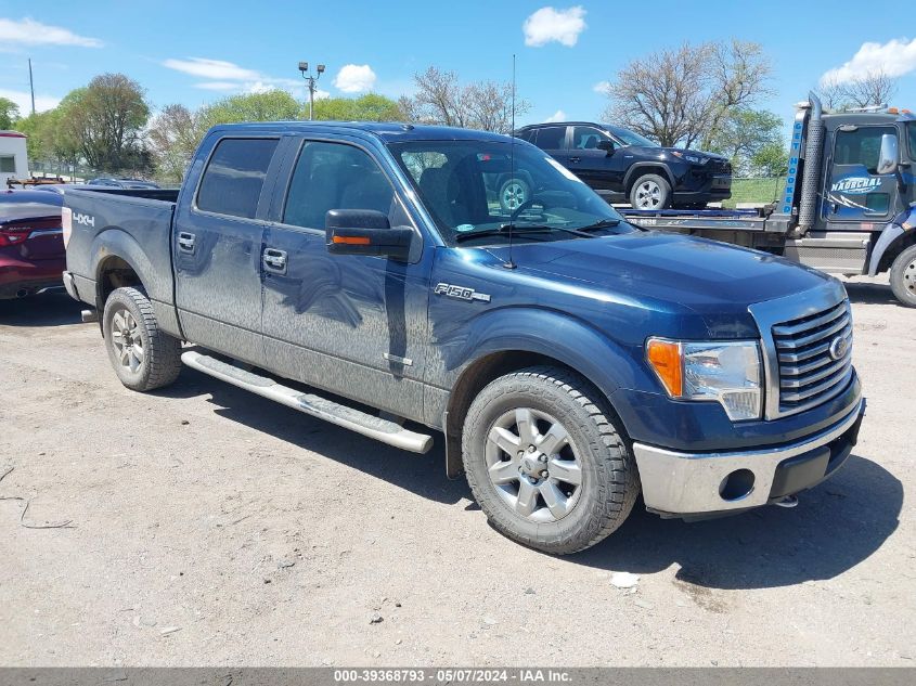 2013 FORD F-150 XLT