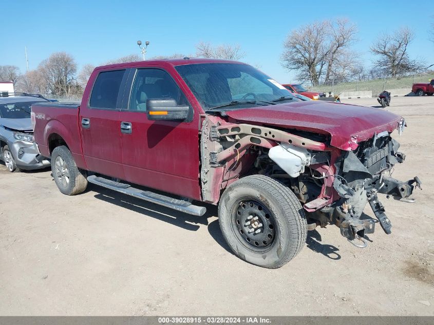 2014 FORD F-150 XLT