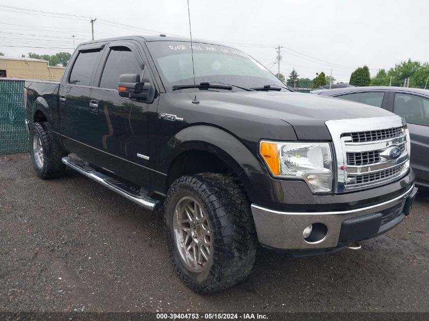 2013 FORD F-150 XLT