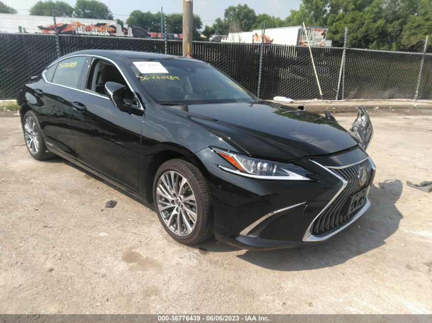 2019 LEXUS ES 300H