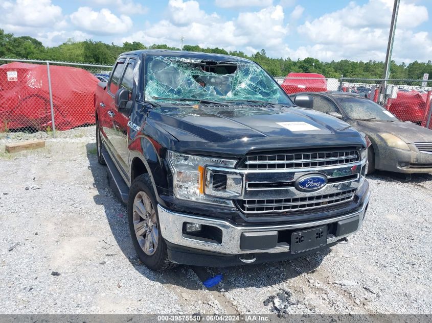 2019 FORD F-150 XLT