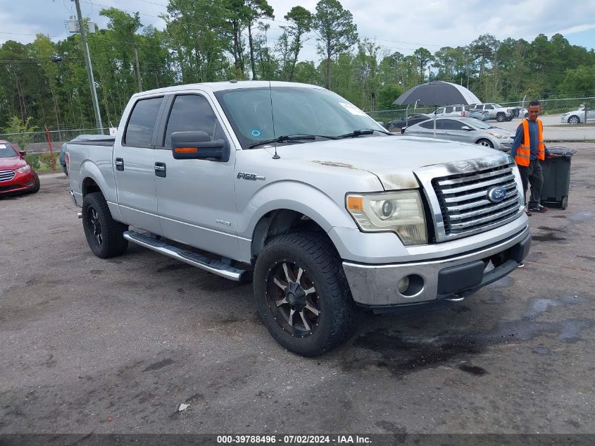 2011 FORD F-150 XLT