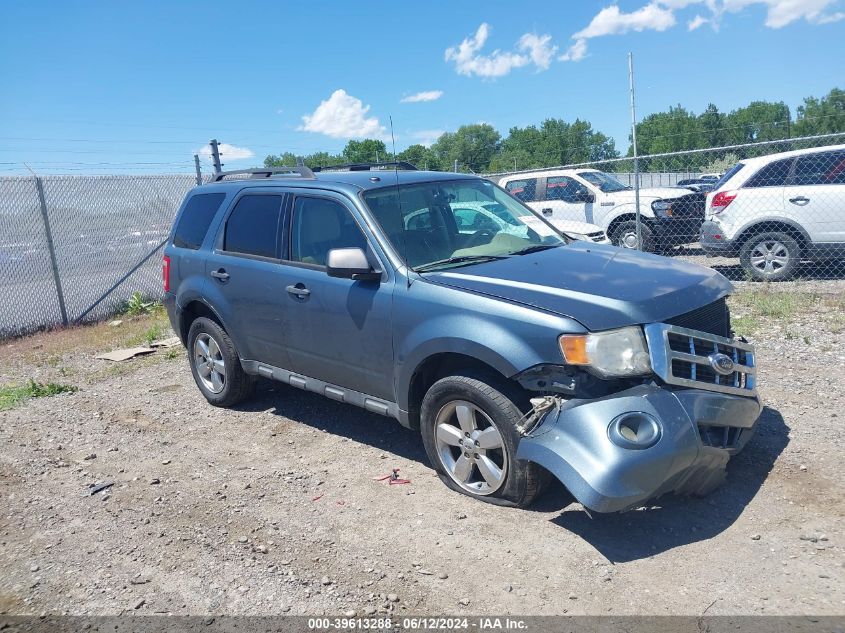 2011 FORD ESCAPE XLT