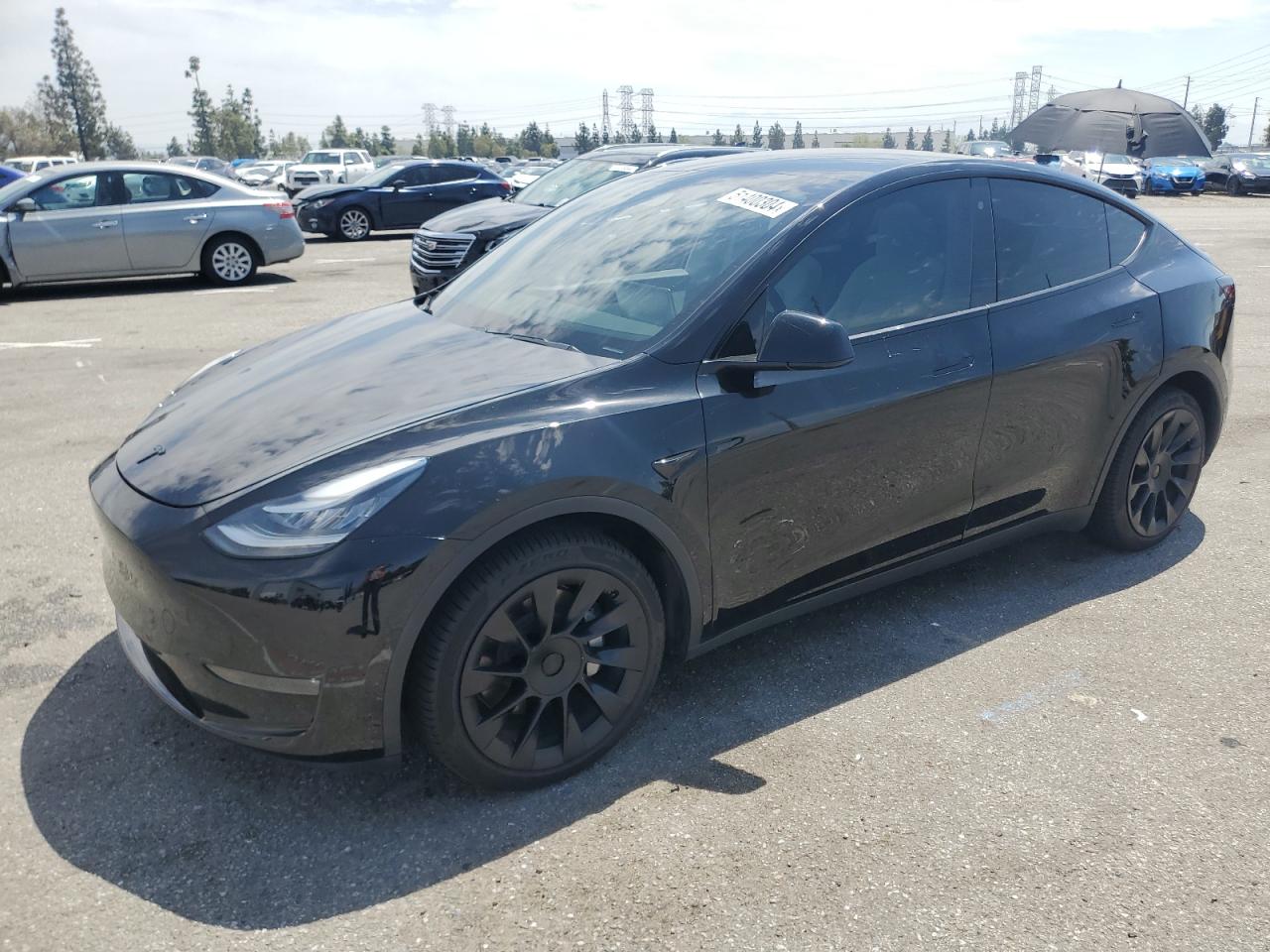 2020 TESLA MODEL Y