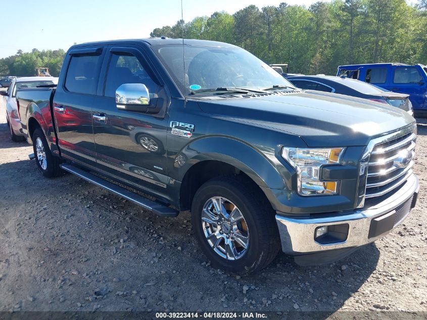 2015 FORD F-150 XLT