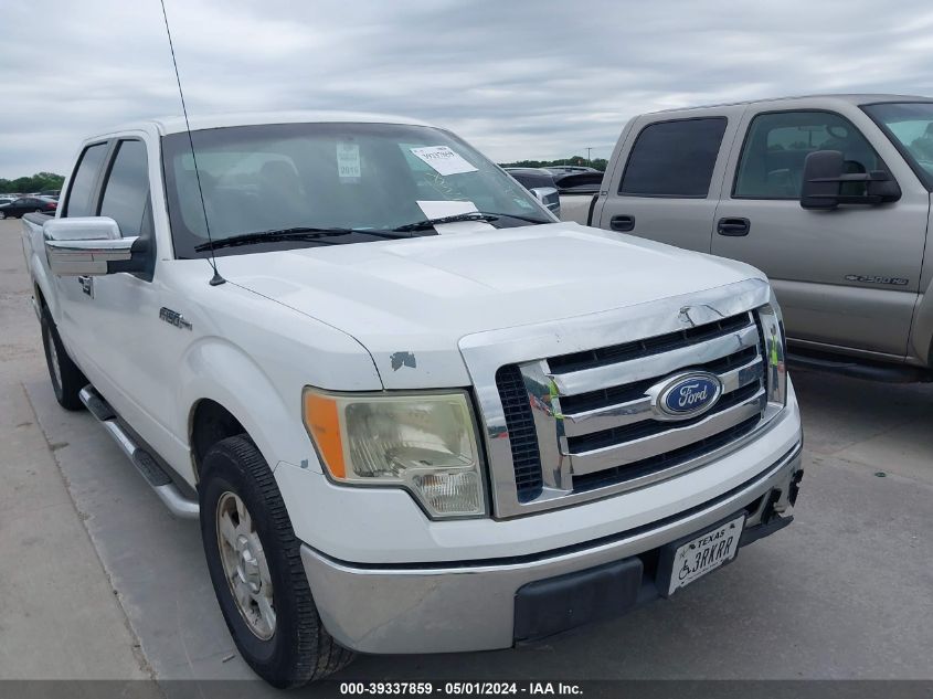 2010 FORD F-150 XL/XLT