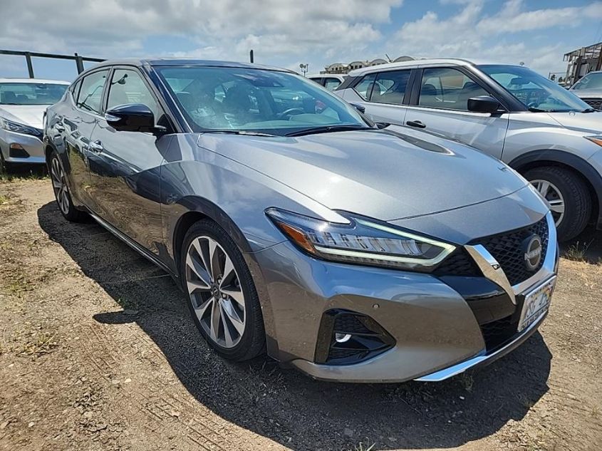 2023 NISSAN MAXIMA PLATINUM