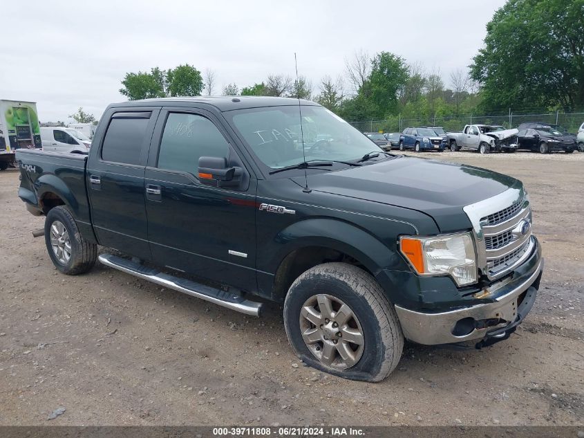 2013 FORD F-150 XLT