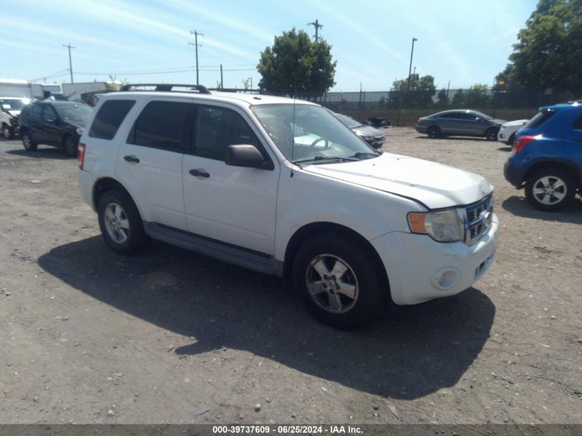 2011 FORD ESCAPE XLT