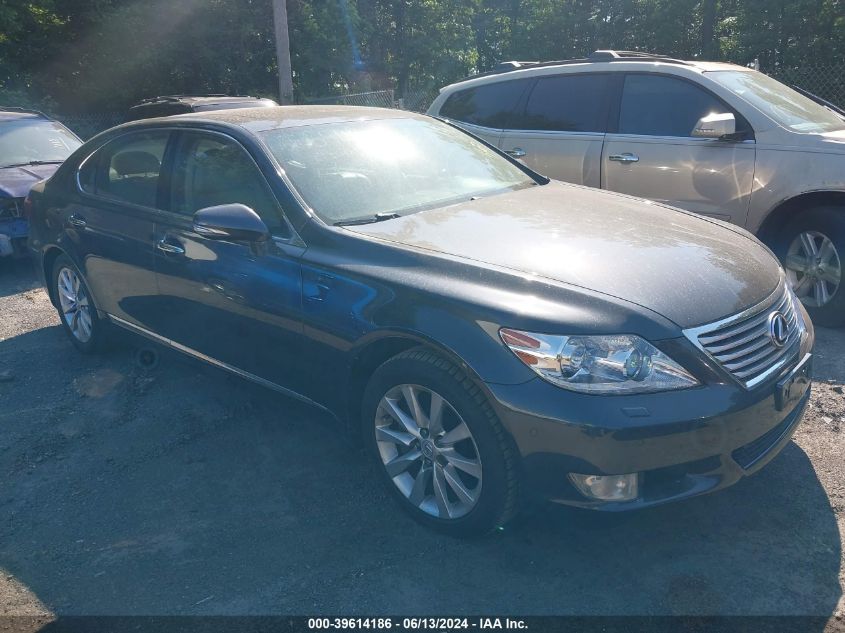 2010 LEXUS LS 460 L