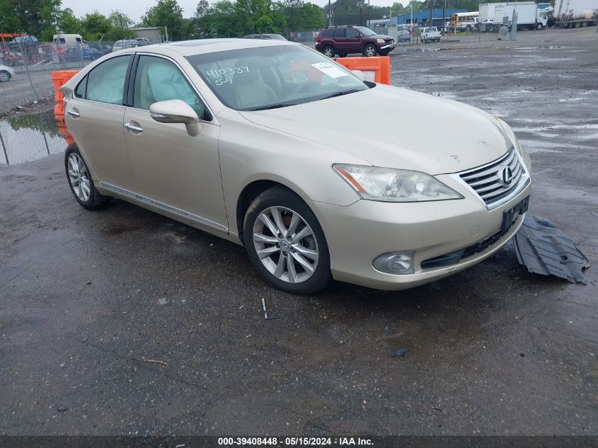 2010 LEXUS ES 350