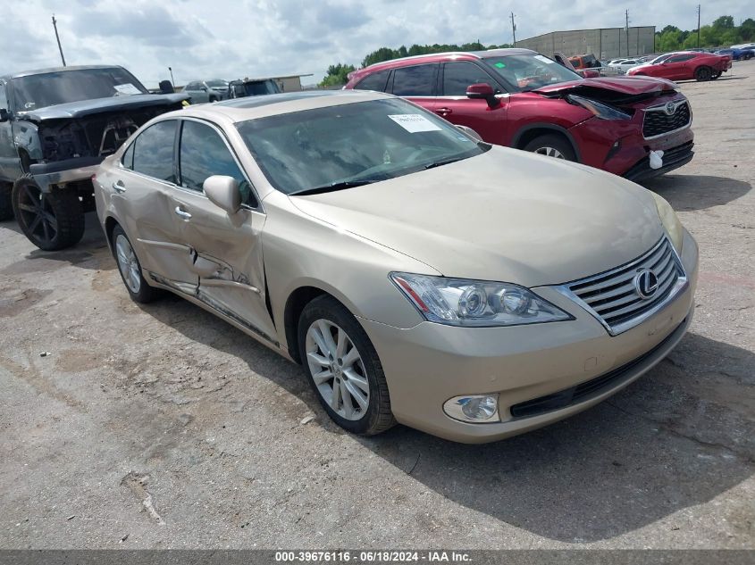 2010 LEXUS ES 350