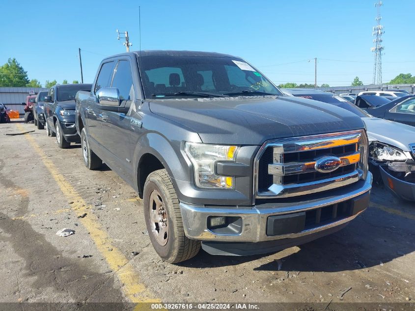 2015 FORD F-150 XLT