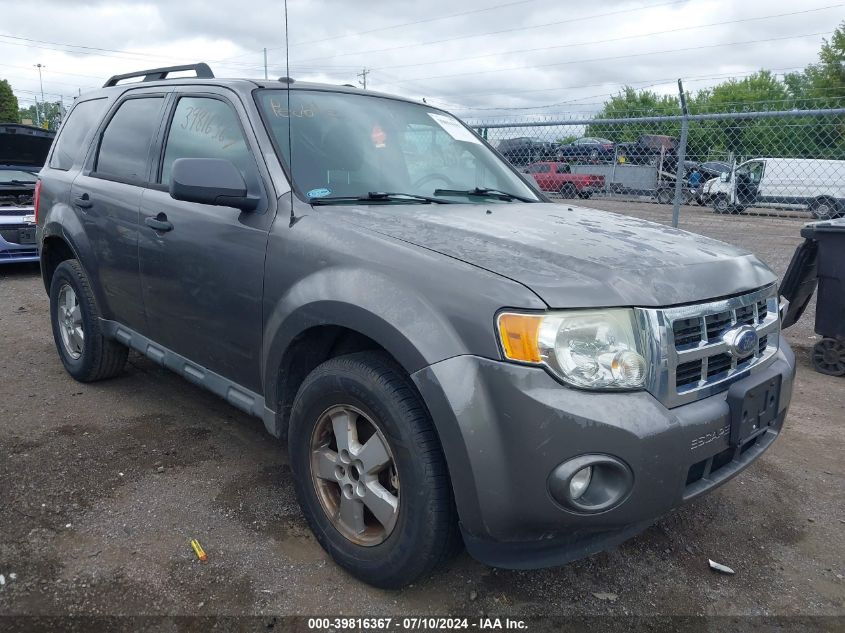 2010 FORD ESCAPE XLT