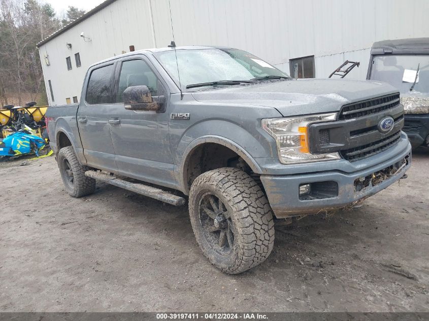 2019 FORD F-150 XLT