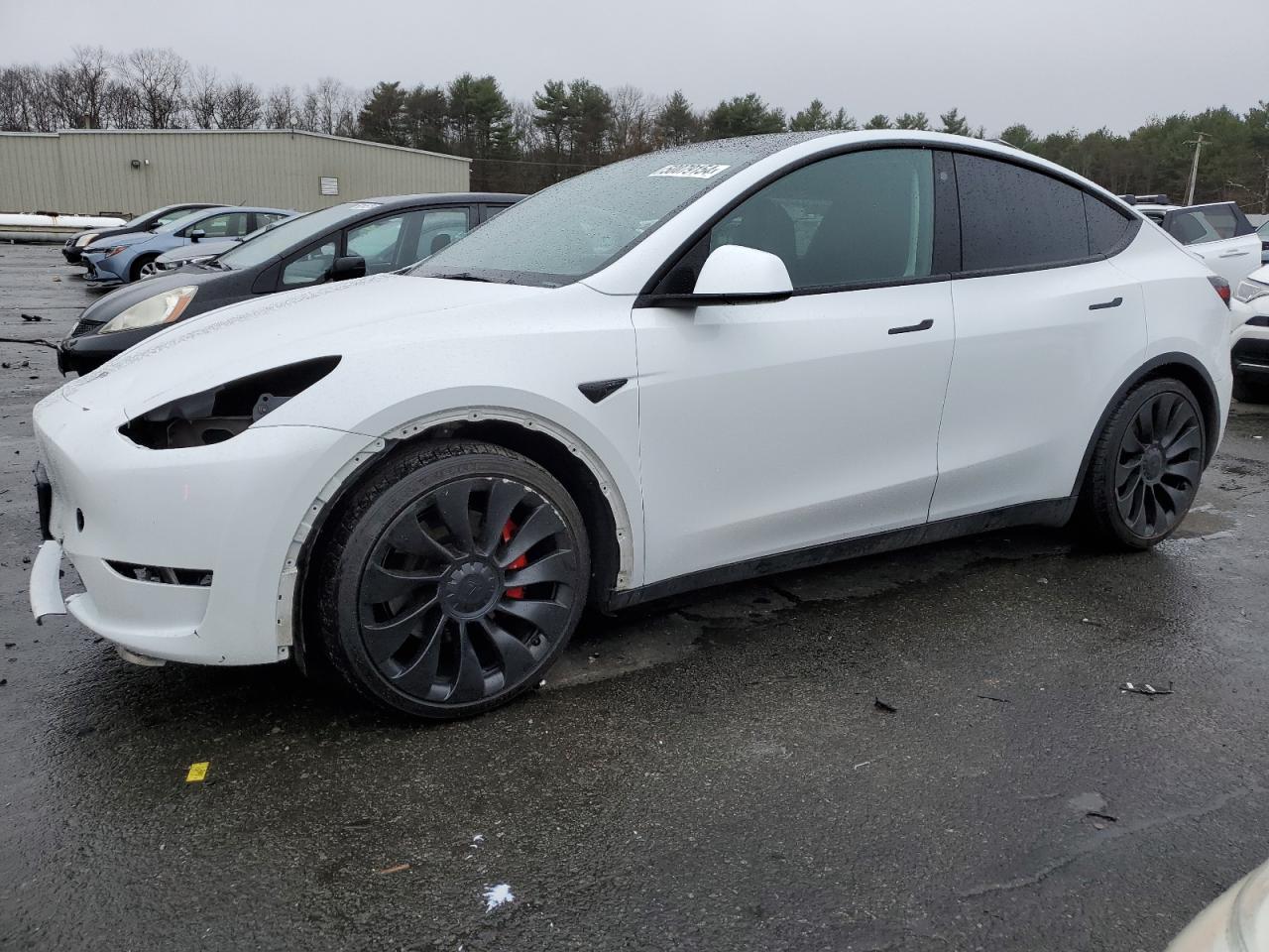 2023 TESLA MODEL Y