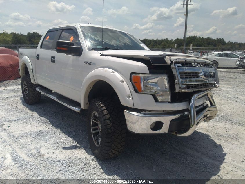 2013 FORD F-150 XLT