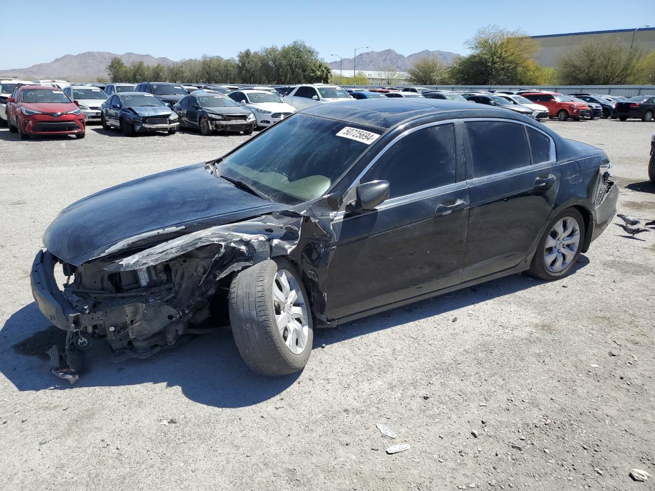 2010 HONDA ACCORD EXL